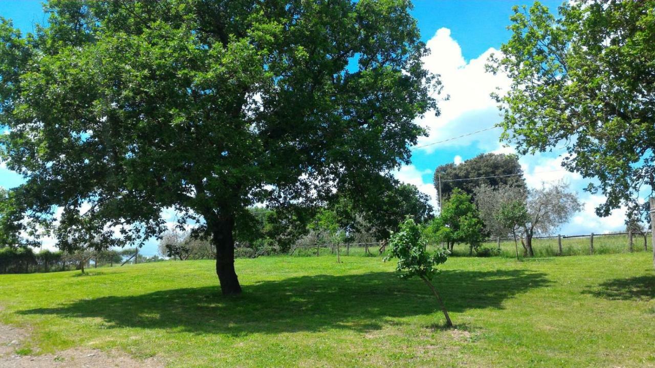 San Filippo Vila Acquapendente Exterior foto